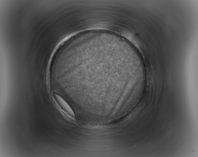 X0000085271072200703301849