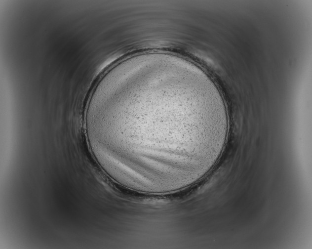 X0000085271073200703301849