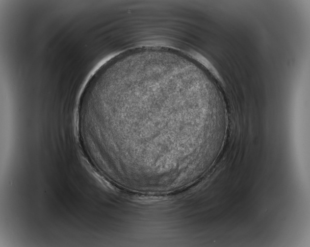 X0000085271076200703301849