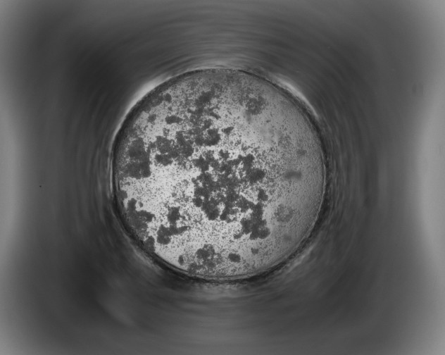 X0000085271079200703301849