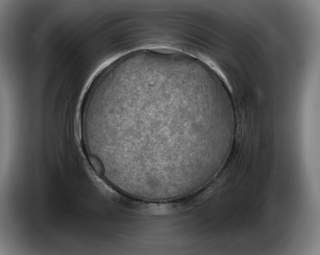 X0000085271080200703301849