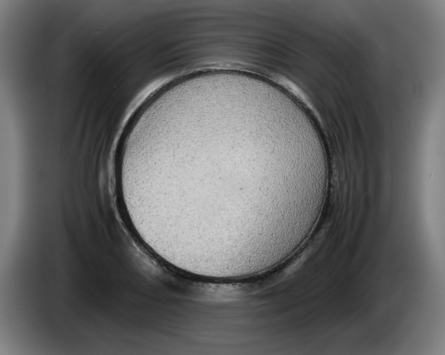 X0000085271082200703301849