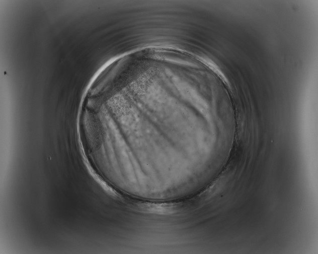 X0000085271084200703301849