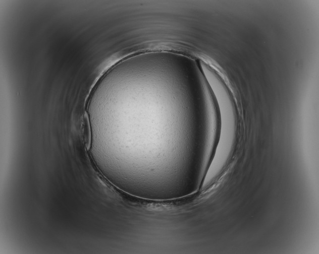 X0000085271089200703301849