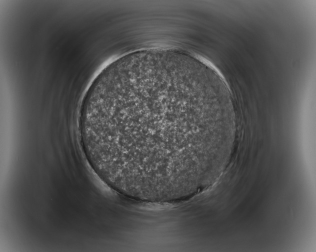 X0000085271091200703301849