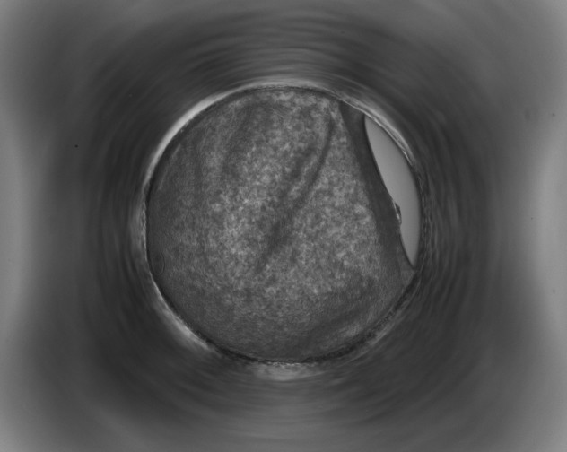 X0000085271092200703301849