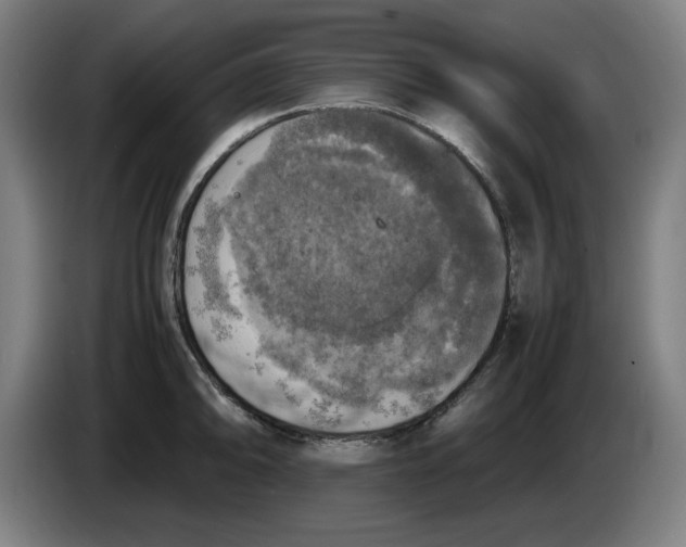 X0000085271094200703301849