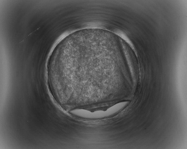 X0000085271096200703301849