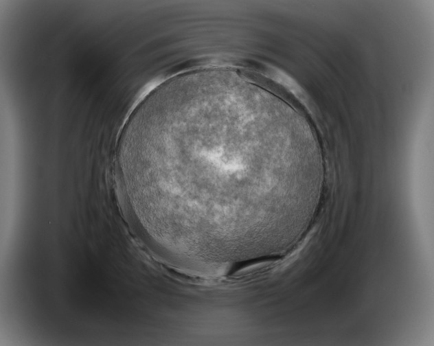 X0000085271097200703301849