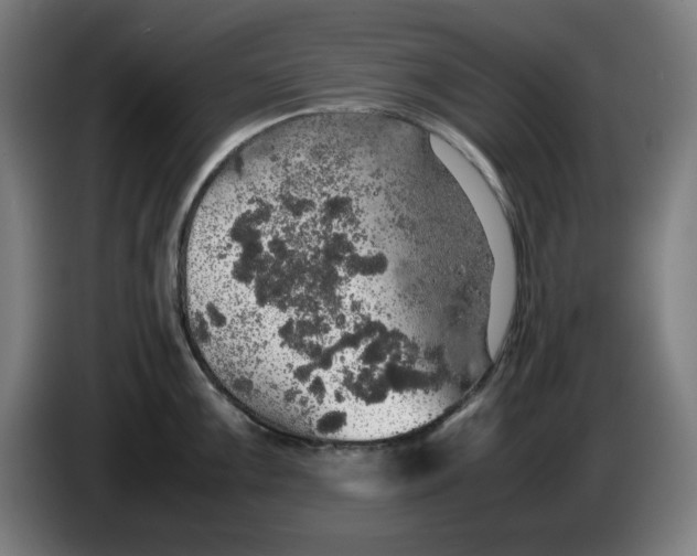 X0000085271099200703301849