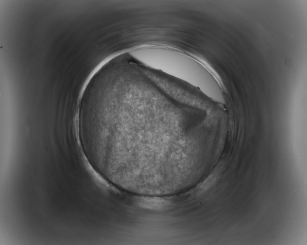 X0000085271100200703301849