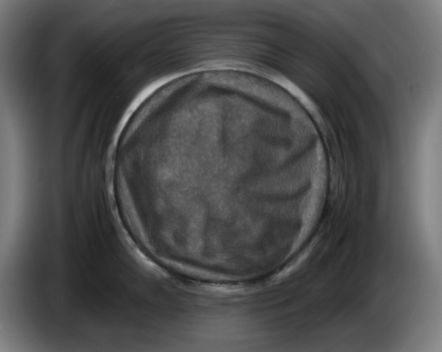 X0000085271102200703301849