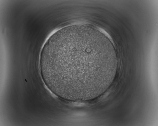 X0000085271103200703301849