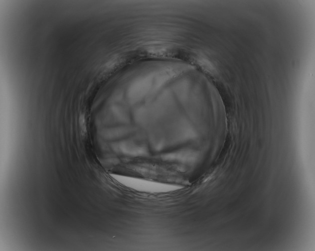 X0000085271106200703301848