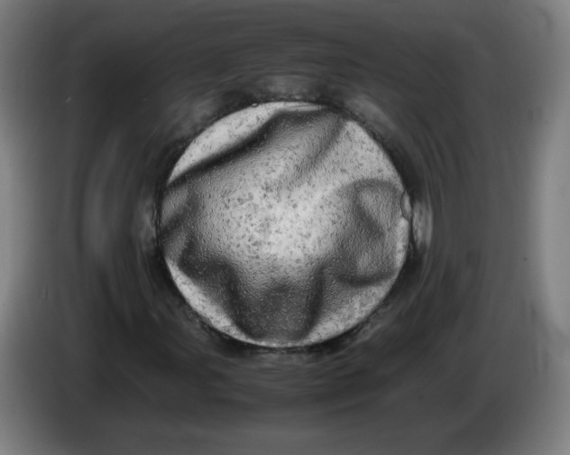 X0000085271107200703301848