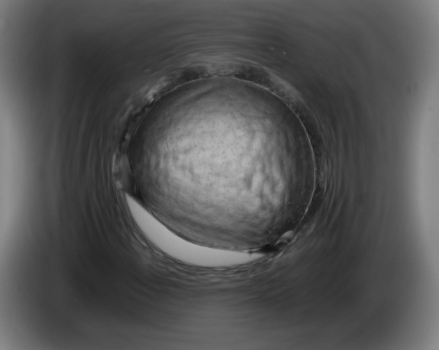 X0000085271108200703301848