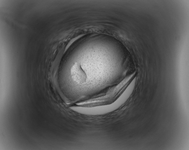 X0000085271109200703301848