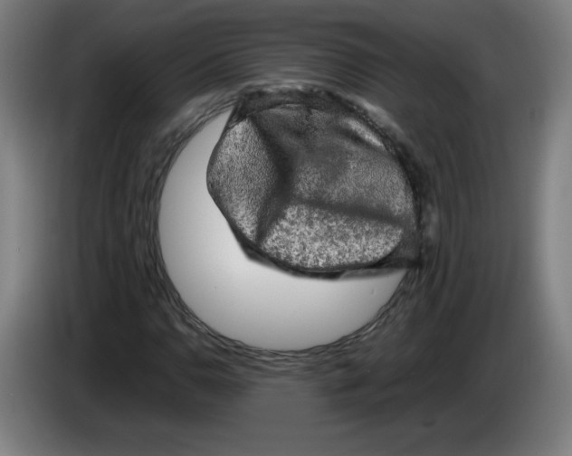 X0000085271110200703301848