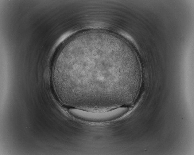 X0000085271114200703301848