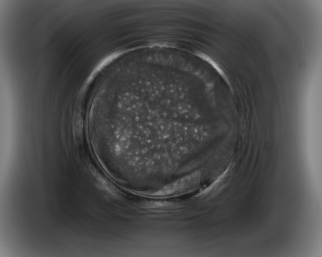 X0000085271115200703301848