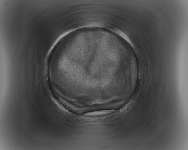 X0000085271116200703301848