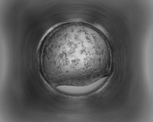 X0000085271118200703301848