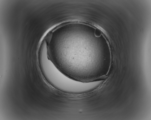 X0000085271120200703301848