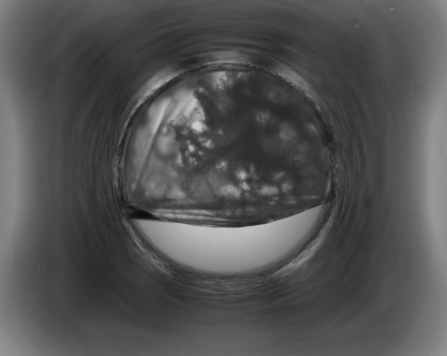 X0000085271121200703301848