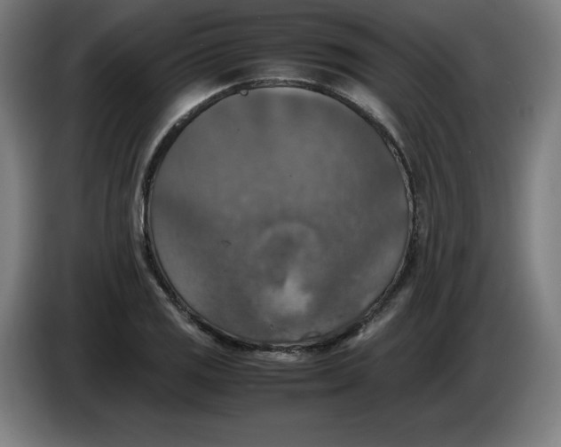 X0000085271125200703301848