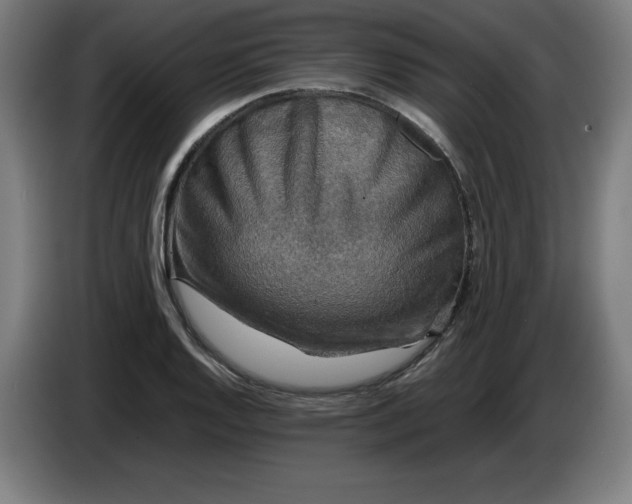 X0000085271128200703301848