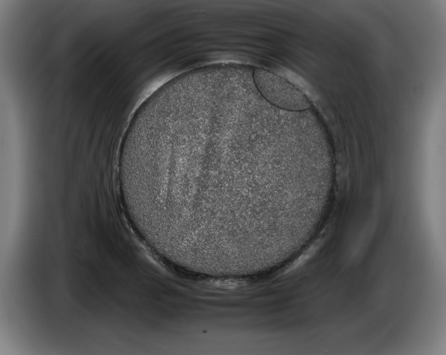 X0000085271129200703301848