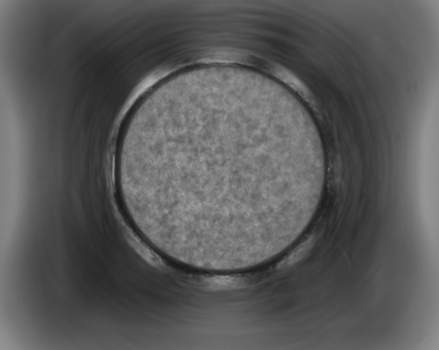 X0000085271130200703301848