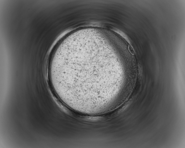 X0000085271131200703301848