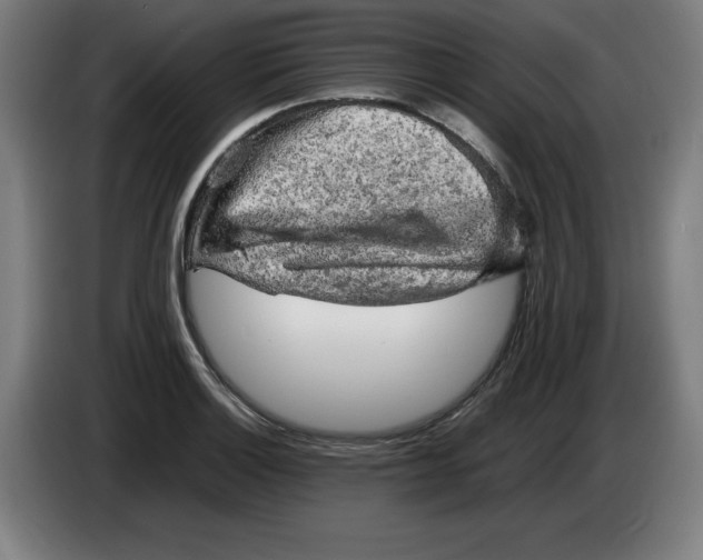 X0000085271132200703301848