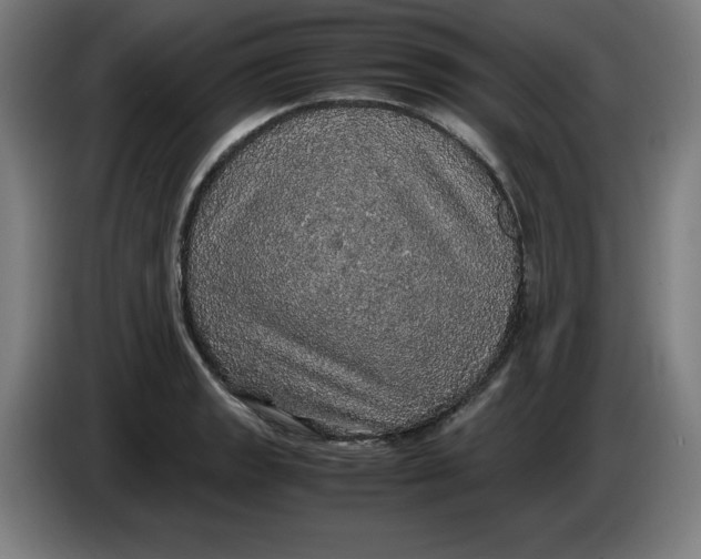 X0000085271133200703301848