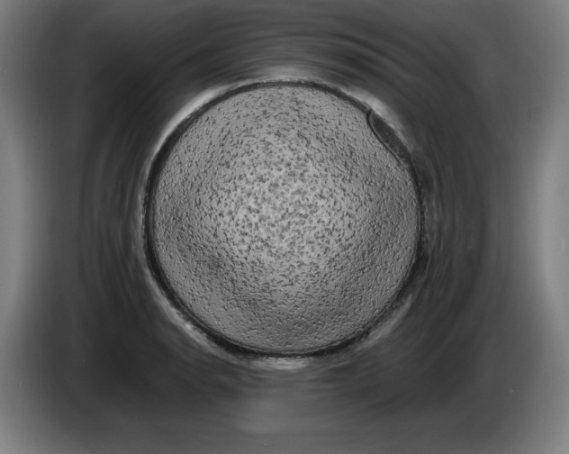 X0000085271134200703301848