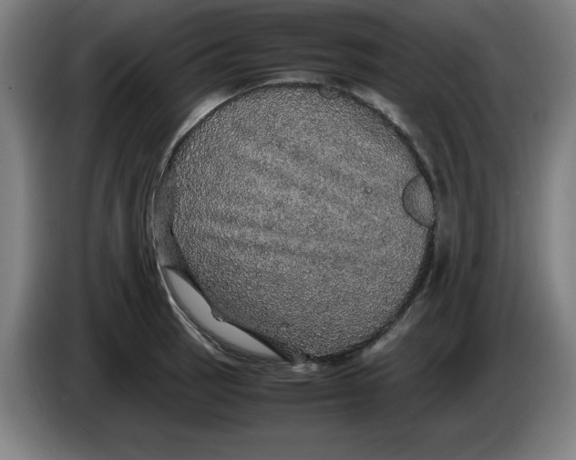 X0000085271137200703301848