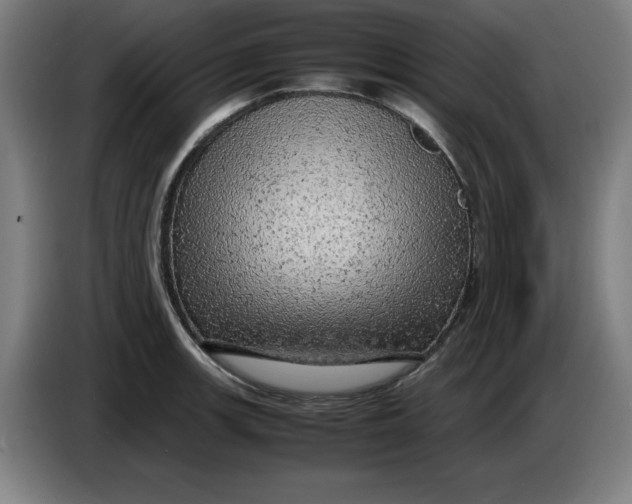 X0000085271139200703301848