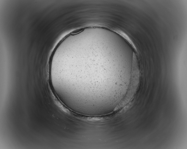 X0000085271140200703301849