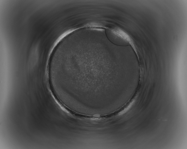 X0000085271141200703301849