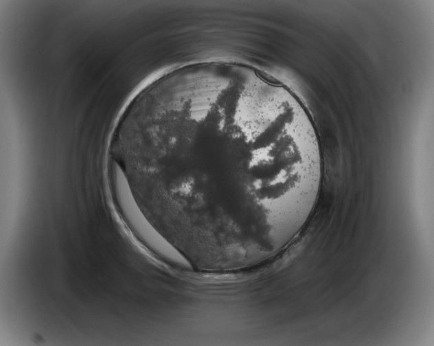 X0000085271142200703301849