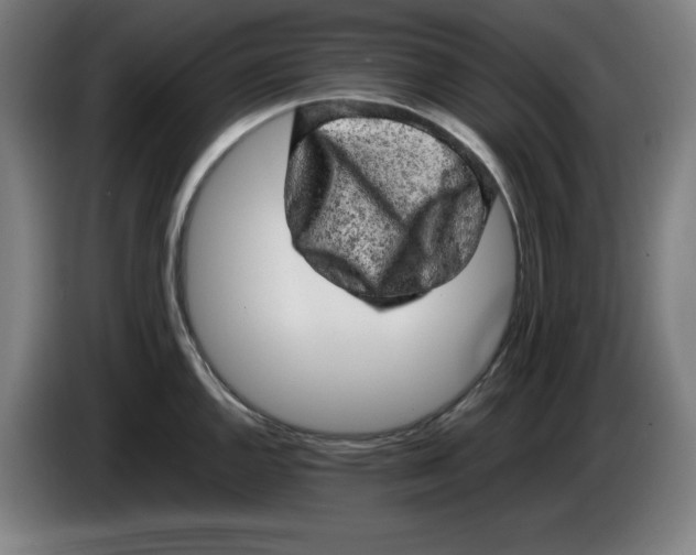 X0000085271144200703301849