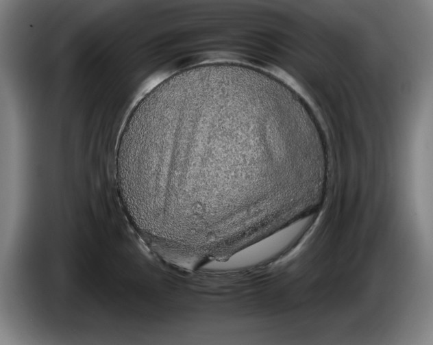 X0000085271145200703301849