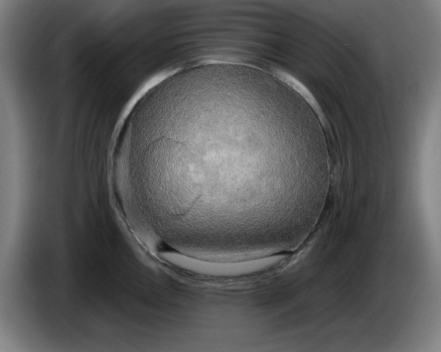 X0000085271146200703301849