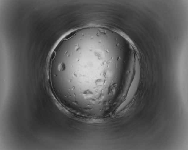 X0000085271148200703301849