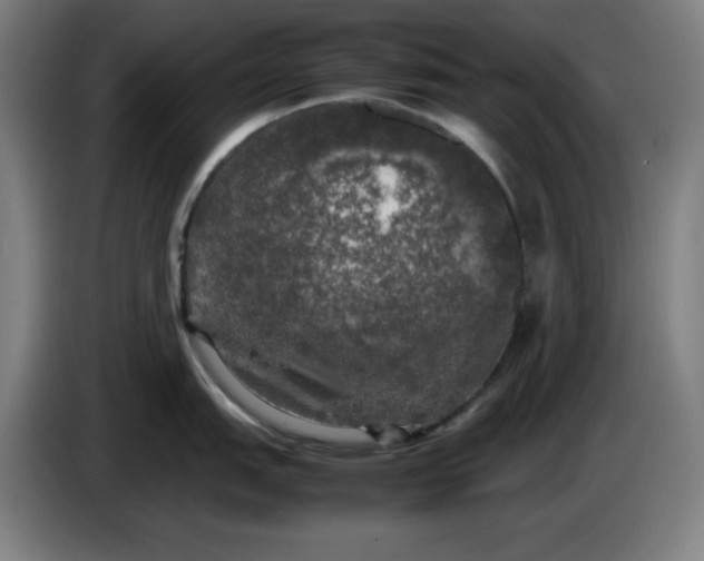 X0000085271151200703301849