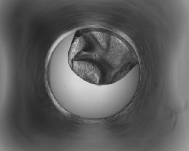 X0000085271152200703301849