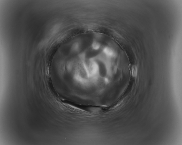 X0000085271155200703301848