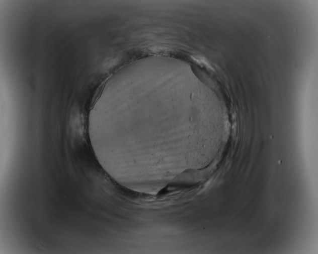 X0000085271156200703301848