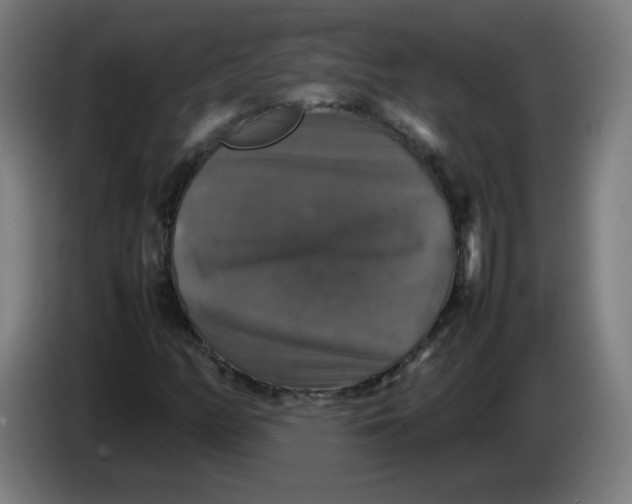 X0000085271158200703301848